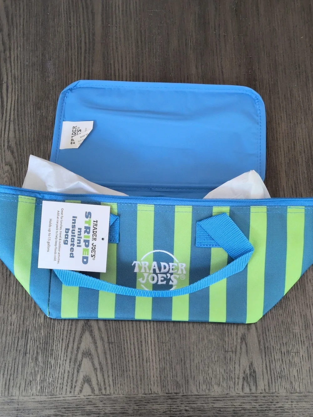NWT Trader Joe's Striped Mini Insulated Bag - Blue & Green
